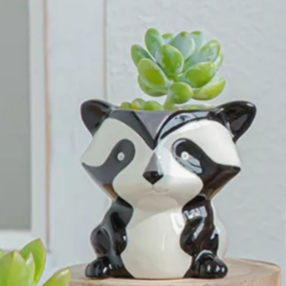 Other - 🧡MINOR FLAW🧡 RACCOON Small Ceramic Planter